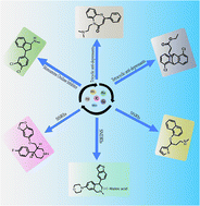 Graphical abstract: Synthesis of anti-depressant molecules via metal-catalyzed reactions: a review