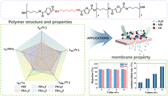 Graphical abstract: Poly(butylene 2,5-furandicarboxylate) copolyester obtained using 1,6-hexanediamine with high glass transition temperature