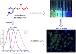 Graphical abstract: Green synthesis of ethyl cinnamates under microwave irradiation: photophysical properties, cytotoxicity, and cell bioimaging