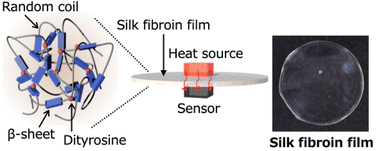 Graphical abstract: Tunable thermal diffusivity of silk protein assemblies based on their structural control and photo-induced chemical cross-linking