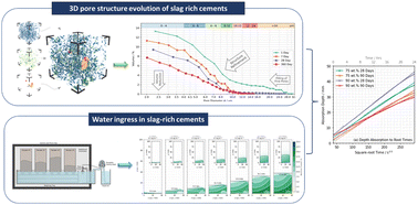Graphical abstract: The pore structure and water absorption in Portland/slag blended hardened cement paste determined by synchrotron X-ray microtomography and neutron radiography