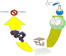Graphical abstract: Synthesis of 3-hydroxypyridin-4-one derivatives bearing benzyl hydrazide substitutions towards anti-tyrosinase and free radical scavenging activities