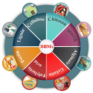 Graphical abstract: Emerging environmentally friendly bio-based nanocomposites for the efficient removal of dyes and micropollutants from wastewater by adsorption: a comprehensive review