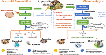 Graphical abstract: Global trends and future prospects of lactic acid production from lignocellulosic biomass
