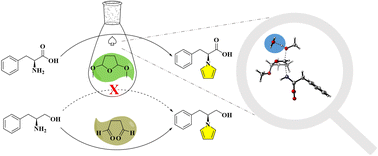 Graphical abstract: The quantitative pyrrole protection of l-phenylalanine/l-phenylalaninol in aqueous media and rationally updating the mechanisms of the Clauson-Kaas reaction through DFT study