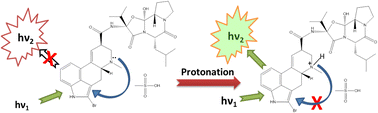 Graphical abstract: The first spectrofluorimetric protocol for sensitive quantitative analysis of bromocriptine in its pure and pharmaceutical forms: evaluation of the greenness of the method