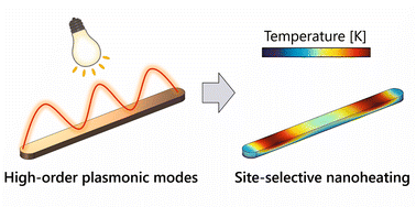 Graphical abstract: Switching nanoscale temperature fields with high-order plasmonic modes in transition metal nanorods