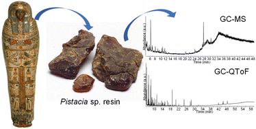 Graphical abstract: Advances in the characterisation and identification of mastic (Pistacia sp.) resin in archaeological samples by GC-QToF-MS