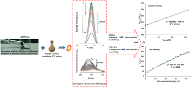 Graphical abstract: Efficient cyanide sensing using plasmonic Ag/Fe3O4 nanoparticles