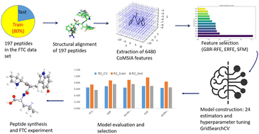 Graphical abstract: Integration of machine learning in 3D-QSAR CoMSIA models for the identification of lipid antioxidant peptides