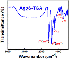 Graphical abstract: Wet chemical synthesis of TGA capped Ag2S nanoparticles and their use for fluorescence imaging and temperature sensing in living cells