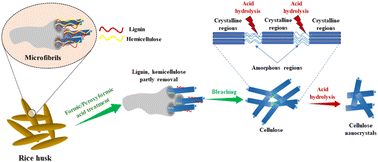 Graphical abstract: Cellulose nanocrystals extracted from rice husk using the formic/peroxyformic acid process: isolation and structural characterization