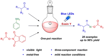 Graphical abstract: Visible-light-mediated synthesis of oxime esters via multicomponent reactions of aldehydes, aryl amines, and N-hydroxyphthalimide esters
