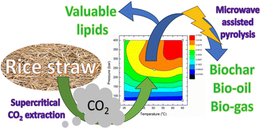 Graphical abstract: Enhanced microwave assisted pyrolysis of waste rice straw through lipid extraction with supercritical carbon dioxide