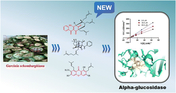 Graphical abstract: Bio-guided isolation of alpha-glucosidase inhibitory compounds from Vietnamese Garcinia schomburgkiana fruits: in vitro and in silico studies