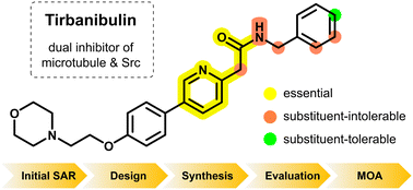 Graphical abstract: Synthesis and evaluation of tirbanibulin derivatives: a detailed exploration of the structure–activity relationship for anticancer activity