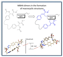 Graphical abstract: A tri(ethylene glycol)-tethered Morita–Baylis–Hillman dimer in the formation of macrocyclic crown ether-paracyclophane hybrid structures