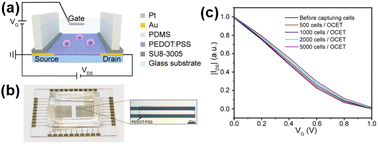 Graphical abstract: Fabrication of PEDOT:PSS-based solution gated organic electrochemical transistor array for cancer cells detection