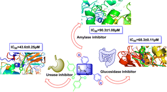 Graphical abstract: Novel pyrazoline linked acyl thiourea pharmacophores as antimicrobial, urease, amylase and α-glucosidase inhibitors: design, synthesis, SAR and molecular docking studies