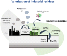 Graphical abstract: Enzyme-accelerated CO2 capture and storage (CCS) using paper and pulp residues as co-sequestrating agents