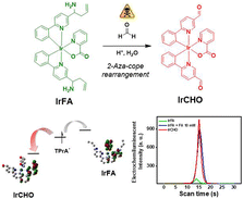 Graphical abstract: Reaction-based energy level modulation of a cyclometalated iridium complex for electrochemiluminescent detection of formaldehyde