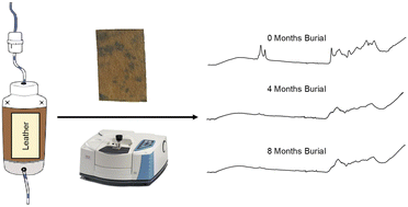 Graphical abstract: Rapid deterioration in buried leather: archaeological implications