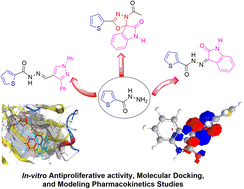 Graphical abstract: Synthesis, computational chemical study, antiproliferative activity screening, and molecular docking of some thiophene-based oxadiazole, triazole, and thiazolidinone derivatives