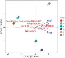 Graphical abstract: Divalent manganese stimulates the removal of nitrate by anaerobic sludge