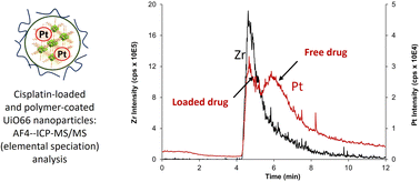 Graphical abstract: An in-depth physicochemical investigation of drug-loaded core–shell UiO66 nanoMOFs