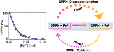 Graphical abstract: Unusual reactivity of 2,2-diphenyl-1-picrylhydrazyl (DPPH) with Fe3+ controlled by competing reactions