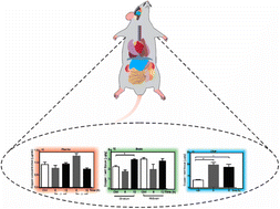 Graphical abstract: Copper release by MOF-74(Cu): a novel pharmacological alternative to diseases with deficiency of a vital oligoelement