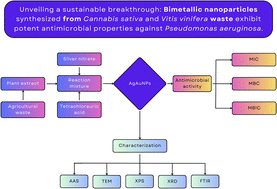 Graphical abstract: Bimetallic nanoparticle production using Cannabis sativa and Vitis vinifera waste extracts