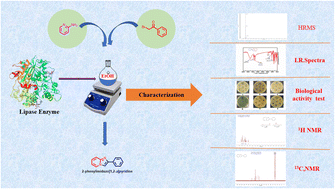 Graphical abstract: Synthesis of imidazole-fused nitrogen-bridgehead heterocycles catalysed by lipase and their antifungal and antimicrobial bioactivity