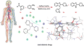 Graphical abstract: Efficient synthesis of 1,2-disubstituted benzimidazoles catalyzed by phosphoric acid as a homogeneous catalyst under mild conditions and investigating their anti-diabetes properties through molecular docking studies and calculations