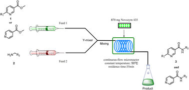 Graphical abstract: Development of a green, concise synthesis of nicotinamide derivatives catalysed by Novozym® 435 from Candida antarctica in sustainable continuous-flow microreactors