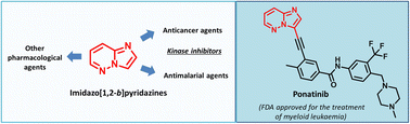 Graphical abstract: Exploring the untapped pharmacological potential of imidazopyridazines