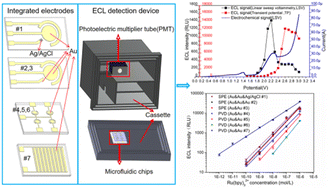 Graphical abstract: Rapid and sensitive electrochemiluminescence detection using easily fabricated sensor with an integrated two-electrode system