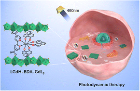 Graphical abstract: Coordination-induced and tunable layered rare-earth hydroxide-complex intercalated nanohybrid phosphorescent photosensitizer and therapy