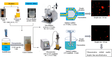 Graphical abstract: Shrimp oil nanoemulsions prepared by microfluidization and ultrasonication: characteristics and stability
