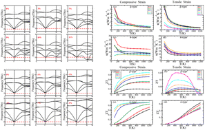 Graphical abstract: Effects of isotropic strain on the structure and transport properties of half-Heusler alloy BiBaK: a first-principles investigation