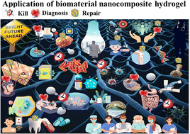 Graphical abstract: Revolutionizing biomedicine: advancements, applications, and prospects of nanocomposite macromolecular carbohydrate-based hydrogel biomaterials: a review