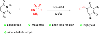 Graphical abstract: Iodine-catalyzed regioselective direct sulfenylation of uracil with sulfonyl hydrazide as sulfur source under solvent free conditions