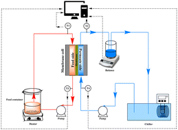 Graphical abstract: Effect of hydrophobized PET TeMs membrane pore-size on saline water treatment by direct contact membrane distillation