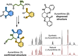 Graphical abstract: Total synthesis of (±)-auranthine confirmed its refined structure