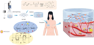 Graphical abstract: 3D sponge loaded with cisplatin–CS–calcium alginate MPs utilized as a void-filling prosthesis for the efficient postoperative prevention of tumor recurrence and metastasis