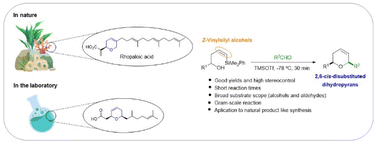 Graphical abstract: Towards an efficient methodology for the synthesis of functionalized dihydropyrans by silyl-Prins cyclization: access to truncated natural products
