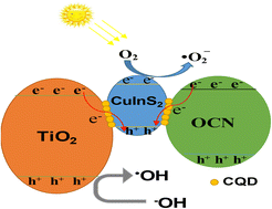 Graphical abstract: Ternary heterogeneous Z-scheme photocatalyst TiO2/CuInS2/OCN incorporated with carbon quantum dots (CQDs) for enhanced photocatalytic degradation efficiency of reactive yellow 145 dye in water