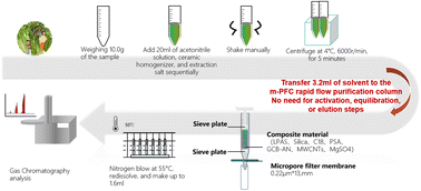 Graphical abstract: A comparison of the determination of multiple pesticide residues in fruits, vegetables, and edible fungi using gas chromatography combined with filtration purification and solid-phase extraction