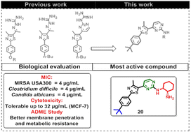 Graphical abstract: Novel phenylthiazoles with a tert-butyl moiety: promising antimicrobial activity against multidrug-resistant pathogens with enhanced ADME properties