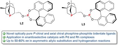 Graphical abstract: Synthesis of P-stereogenic 1-phosphanorbornane-derived phosphine–phosphite ligands and application in asymmetric catalysis
